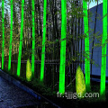 Simulation de luminescence solaire bambou